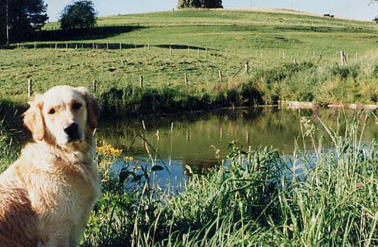 Общежитие Gasthaus Zur Moosmühle