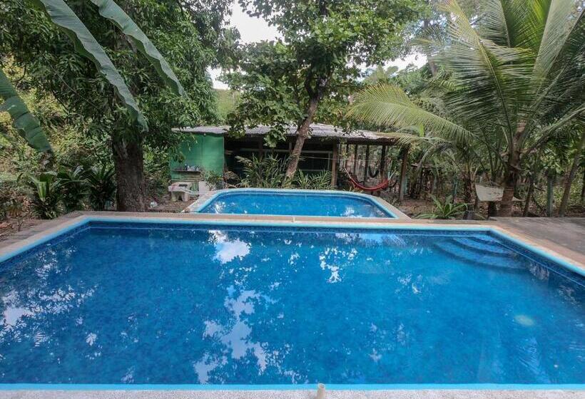 호스텔 Hammock Plantation