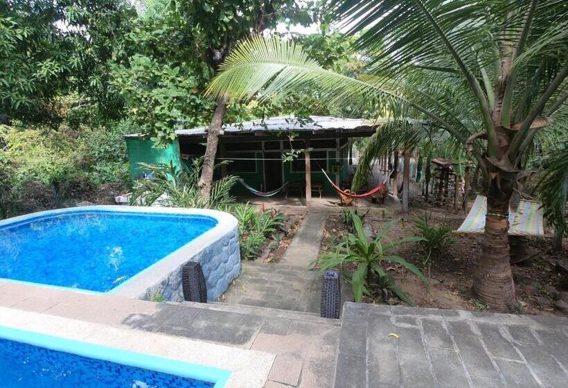 호스텔 Hammock Plantation