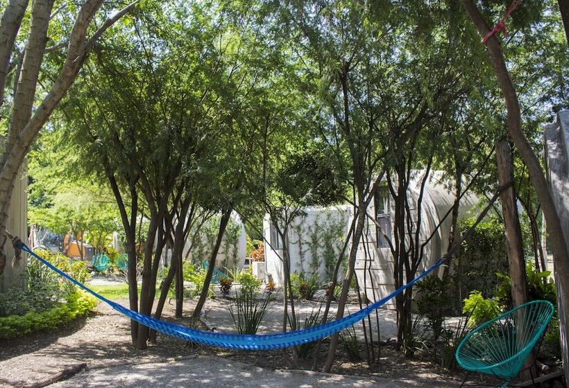 הוסטל Kubhotel By El Rollo