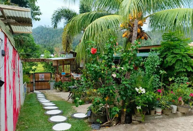 ユースホステル Mil's Hillside Tourist Inn