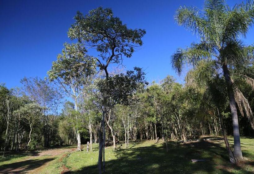 ユースホステル Piel De Timbó