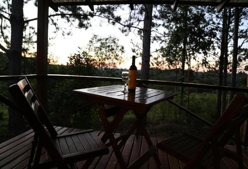 ユースホステル Piel De Timbó