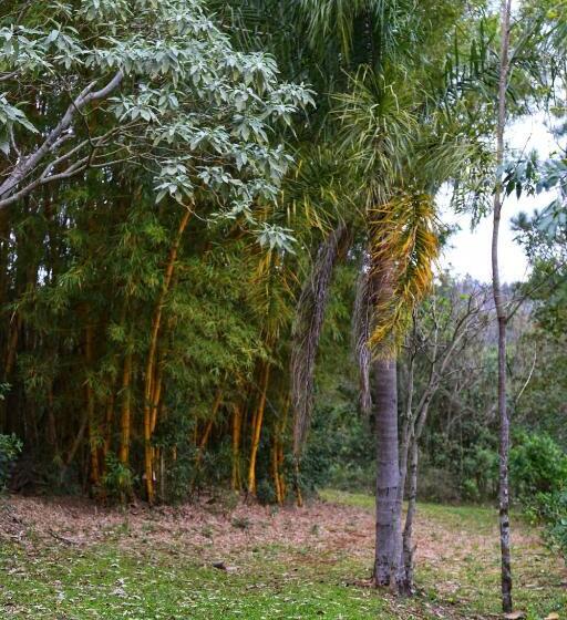 ユースホステル Piel De Timbó