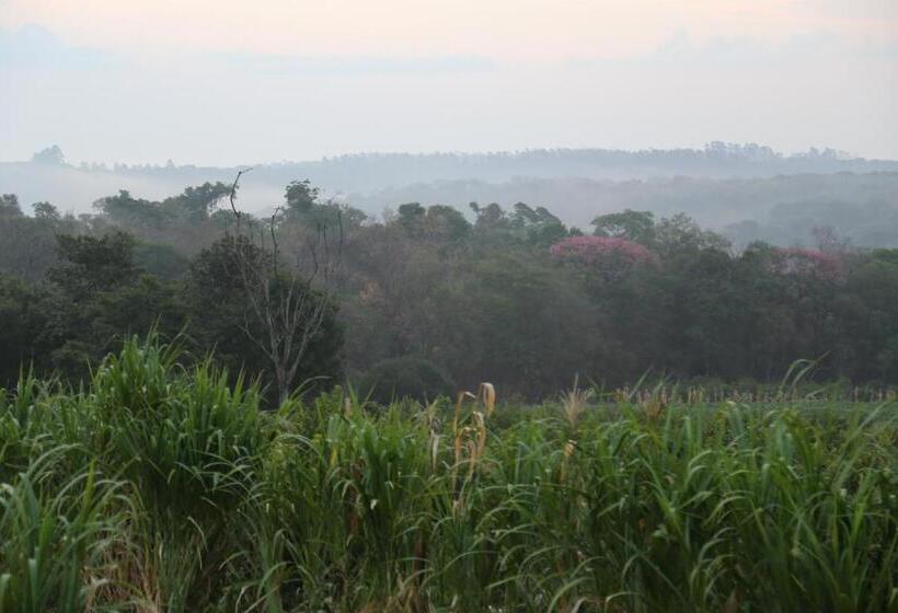 ユースホステル Piel De Timbó