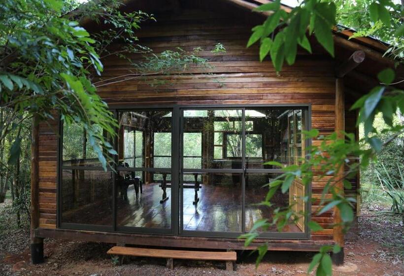 ユースホステル Piel De Timbó