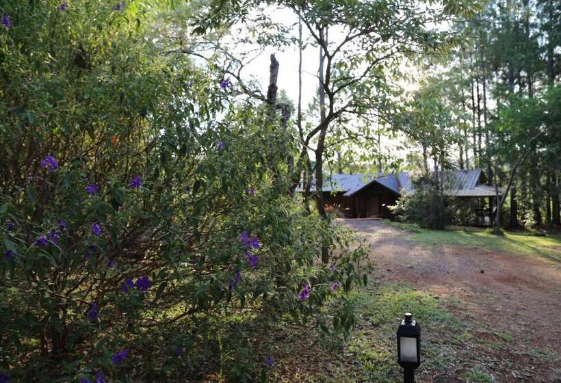 ユースホステル Piel De Timbó