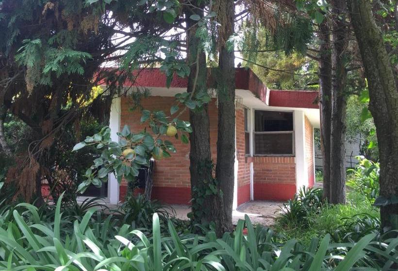 فندق صغير Posada Familiar Dalila