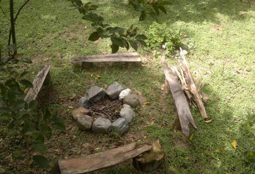 Общежитие Rumi Wilco Ecolodge & Nature Reserve Cabañas & Camping