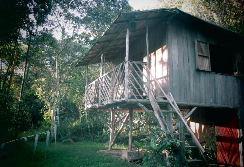 Общежитие Rumi Wilco Ecolodge & Nature Reserve Cabañas & Camping