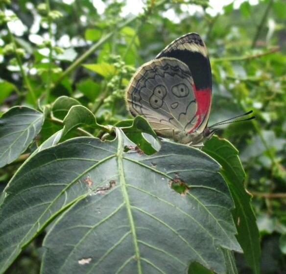 Общежитие Rumi Wilco Ecolodge & Nature Reserve Cabañas & Camping