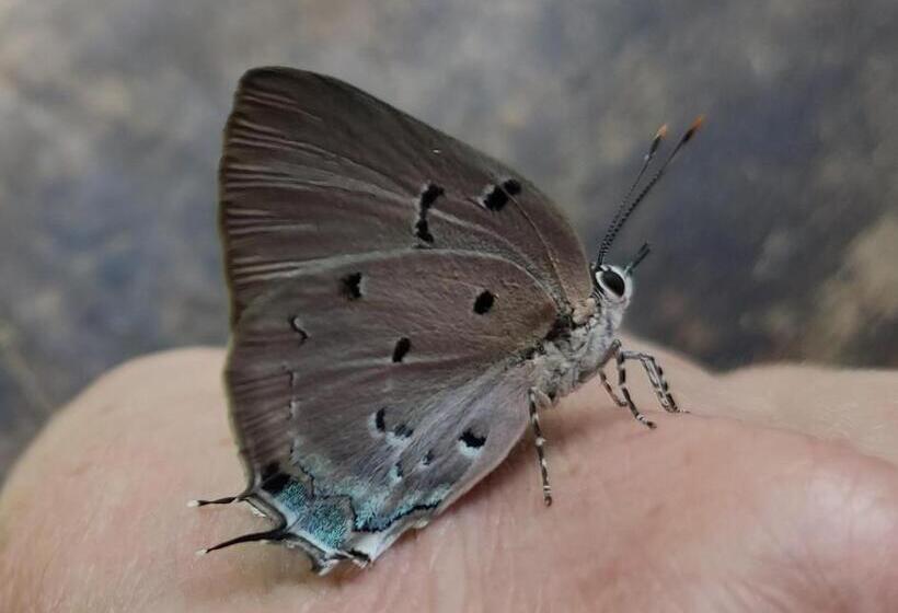 Общежитие Rumi Wilco Ecolodge & Nature Reserve Cabañas & Camping