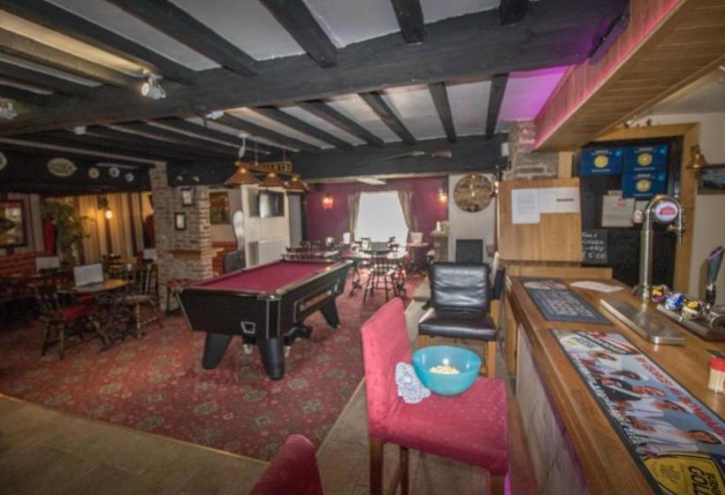 הוסטל The Cabin Saracens Head