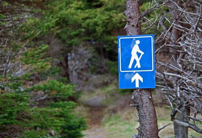 Общежитие The Killick Inn & Suites