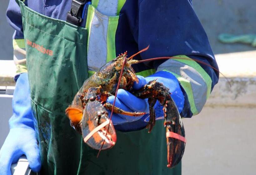 Общежитие The Killick Inn & Suites