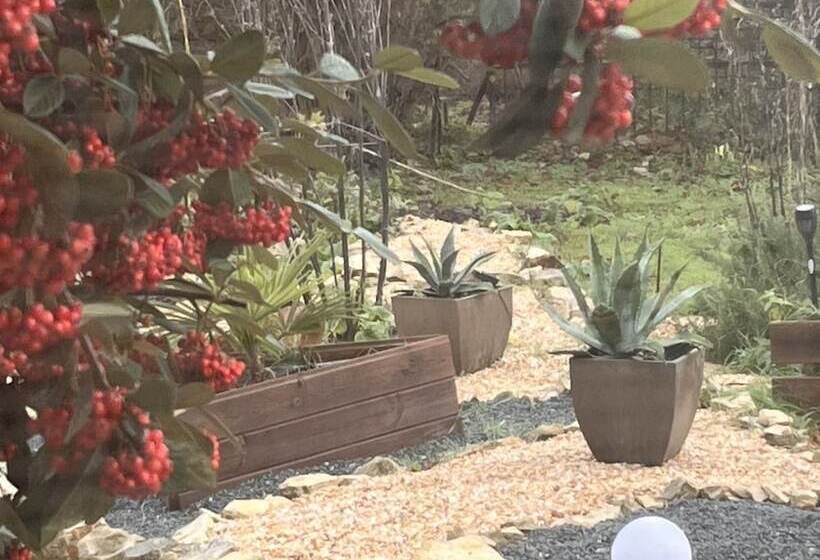 Bed and Breakfast Campagn Art