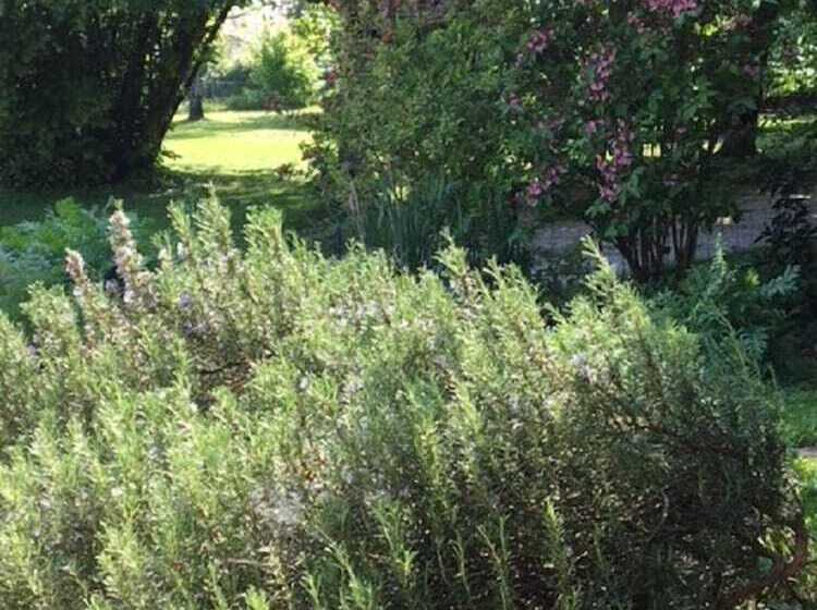 Bed and Breakfast Campagn Art