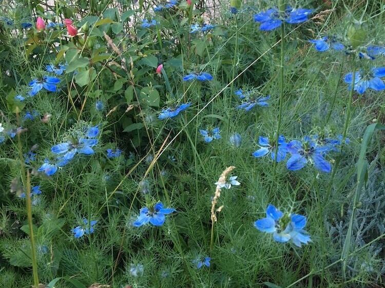 Bed and Breakfast Campagn Art