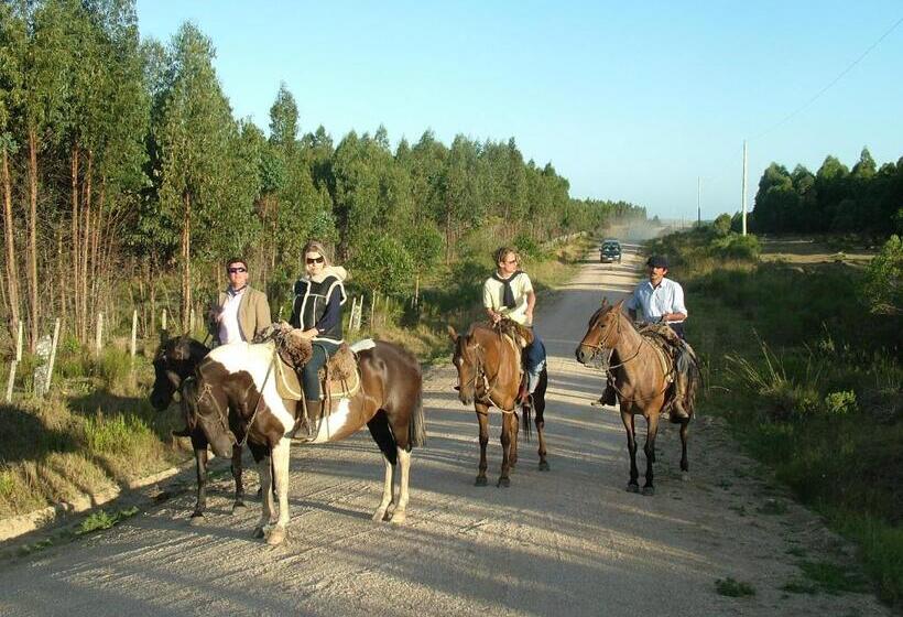 Bed and Breakfast Casa Anna