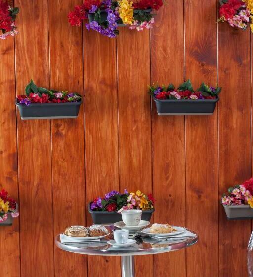 Bed and Breakfast Enjoy Vida