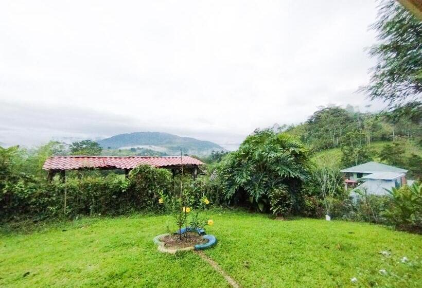 تختخواب و صبحانه Hospedaje Luis & Ana