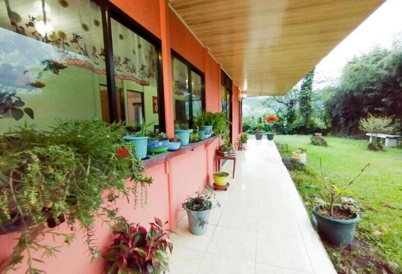 تختخواب و صبحانه Hospedaje Luis & Ana