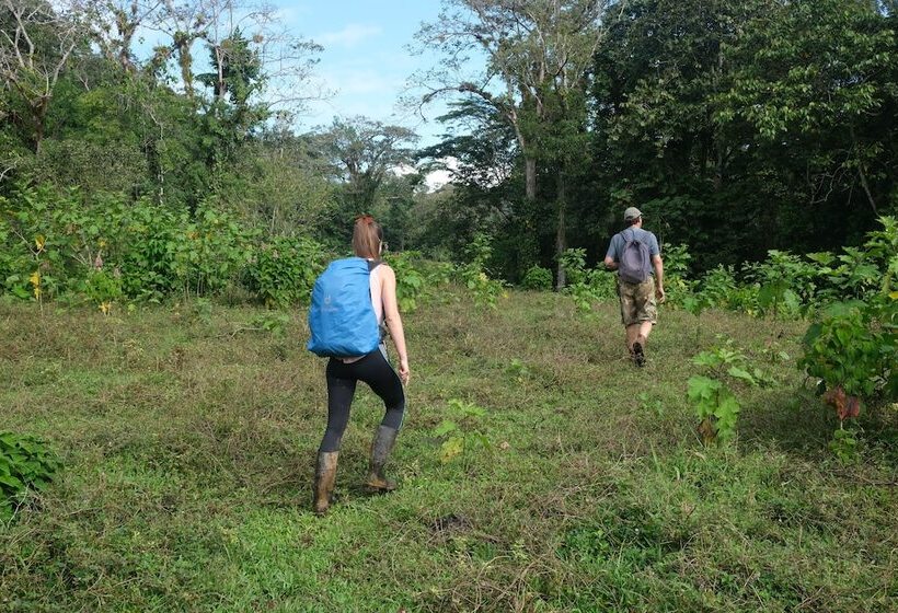 مبيت وإفطار Iguanitas Lodge