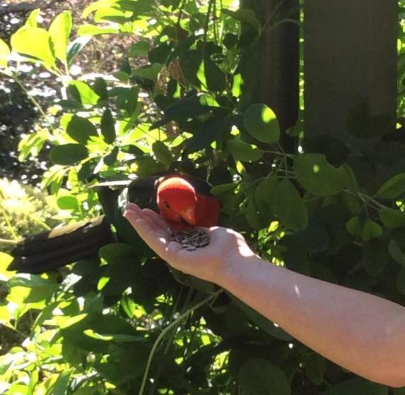 مبيت وإفطار Mandalay House