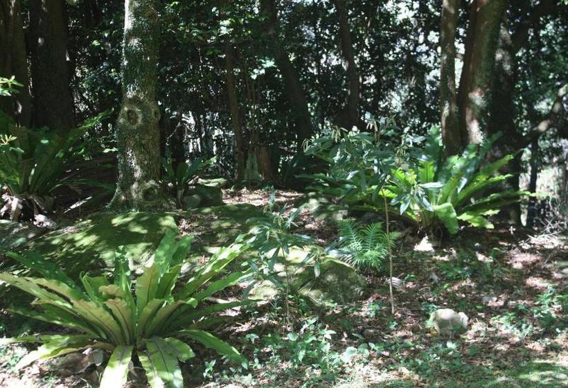 مبيت وإفطار Mandalay House