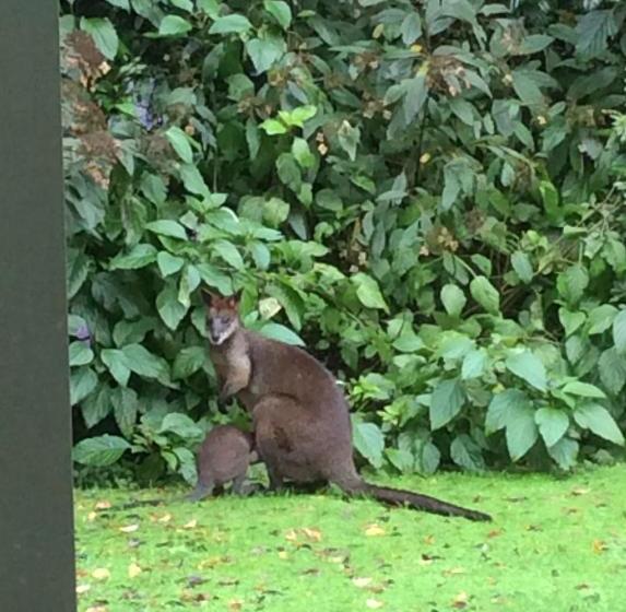 مبيت وإفطار Mandalay House