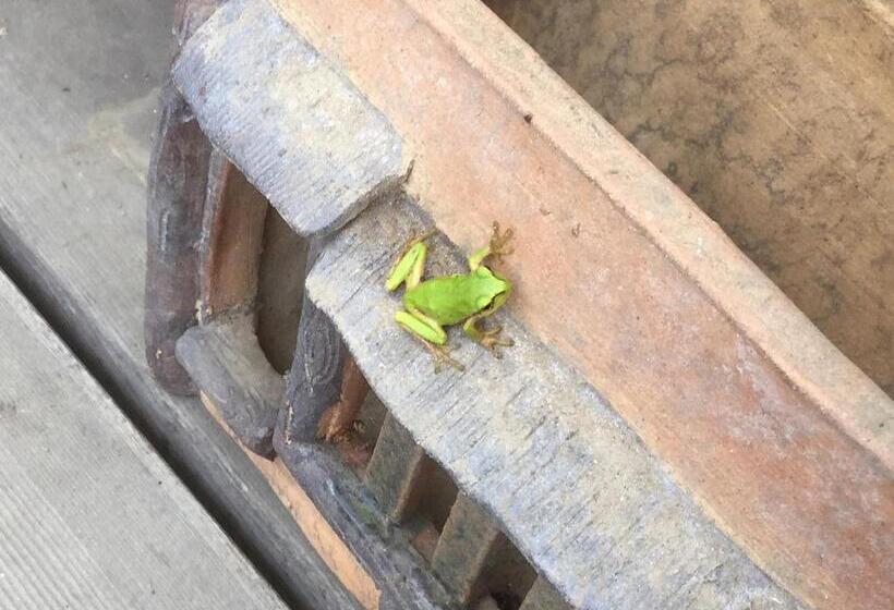 مبيت وإفطار Morino Garden Mashiko