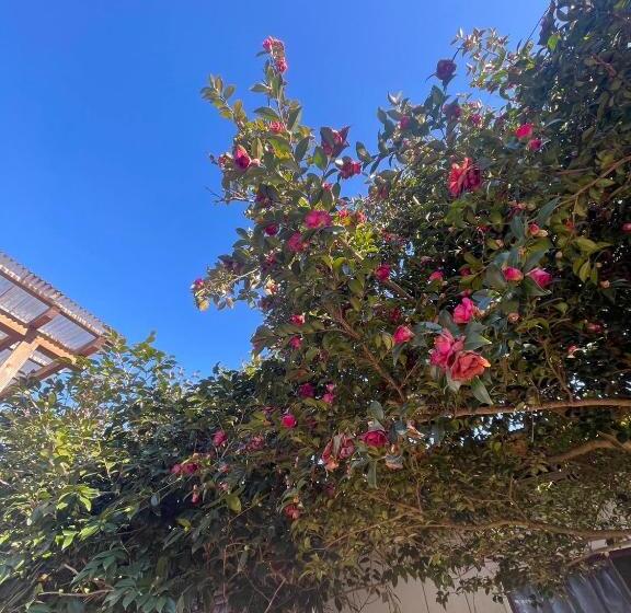 مبيت وإفطار Morino Garden Mashiko