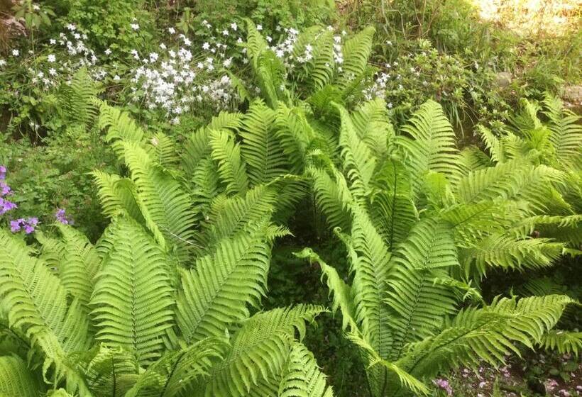 مبيت وإفطار Morino Garden Mashiko