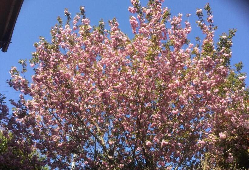 مبيت وإفطار Morino Garden Mashiko