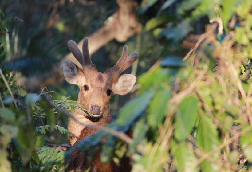 مبيت وإفطار Nature Hunt Eco Camp