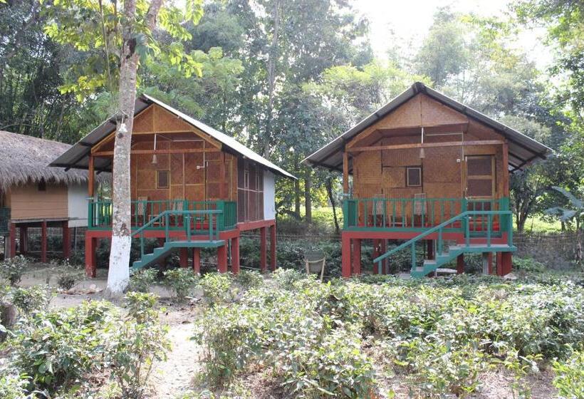 مبيت وإفطار Nature Hunt Eco Camp