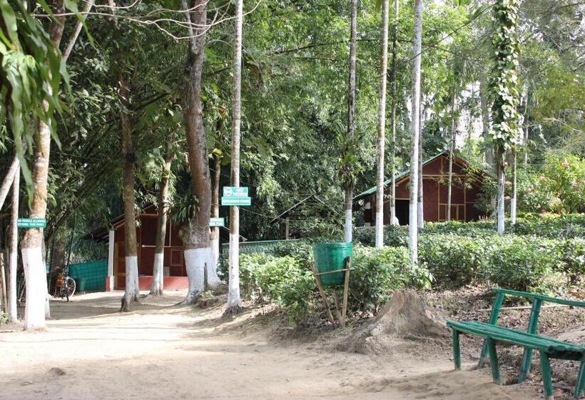 민박 Nature Hunt Eco Camp