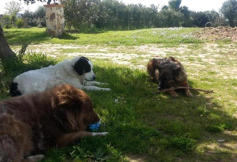 צימר Orange Ville