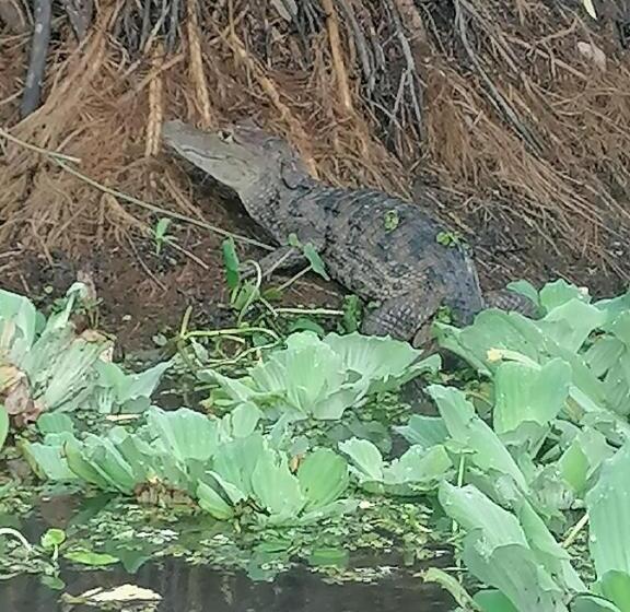 צימר Rosa's Lake Cabins