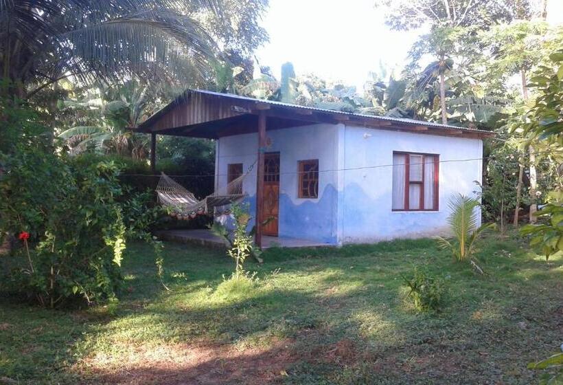 צימר Rosa's Lake Cabins