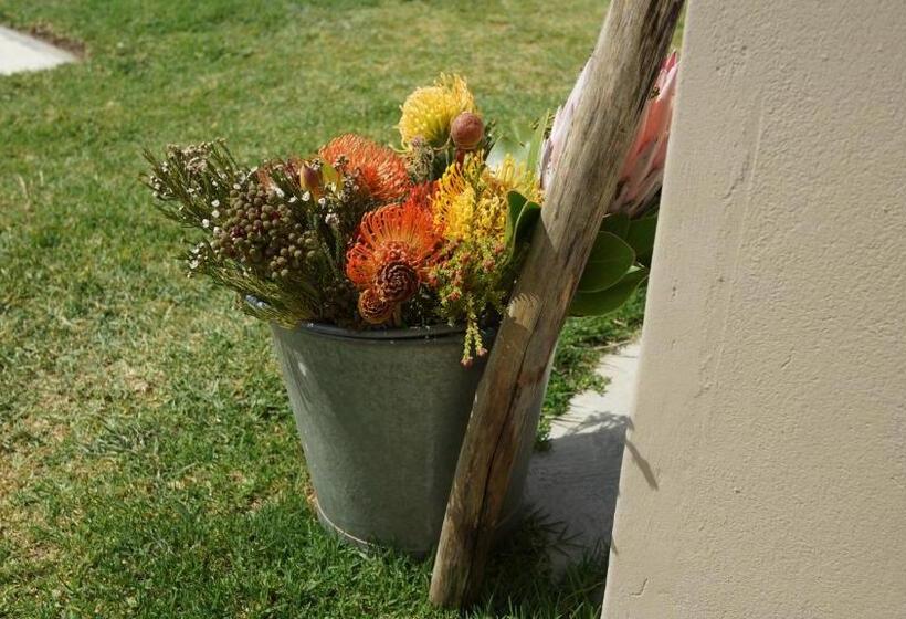 مبيت وإفطار Stellar Overberg Travellers Lodge