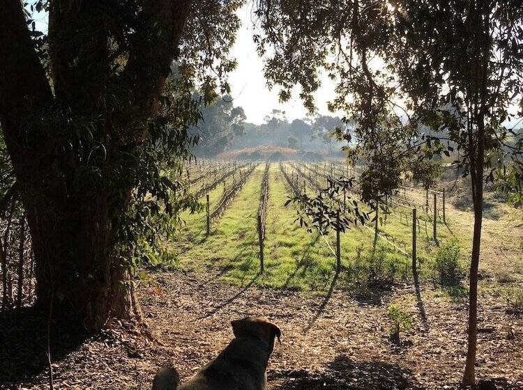 مبيت وإفطار Stellar Overberg Travellers Lodge