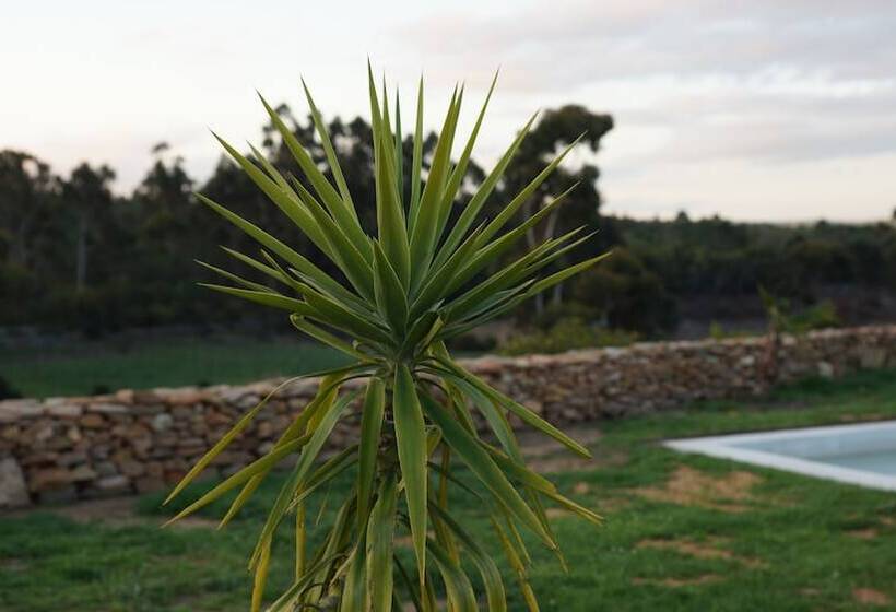 مبيت وإفطار Stellar Overberg Travellers Lodge