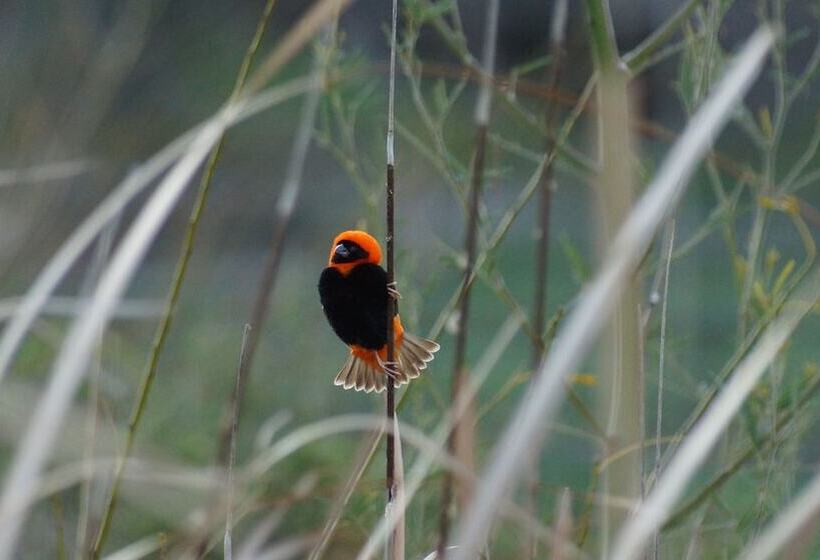 مبيت وإفطار Stellar Overberg Travellers Lodge