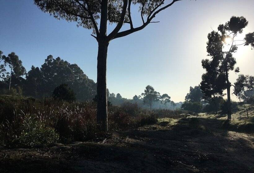 مبيت وإفطار Stellar Overberg Travellers Lodge