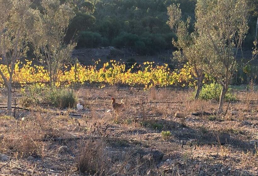 مبيت وإفطار Stellar Overberg Travellers Lodge