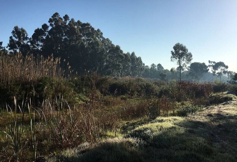 مبيت وإفطار Stellar Overberg Travellers Lodge