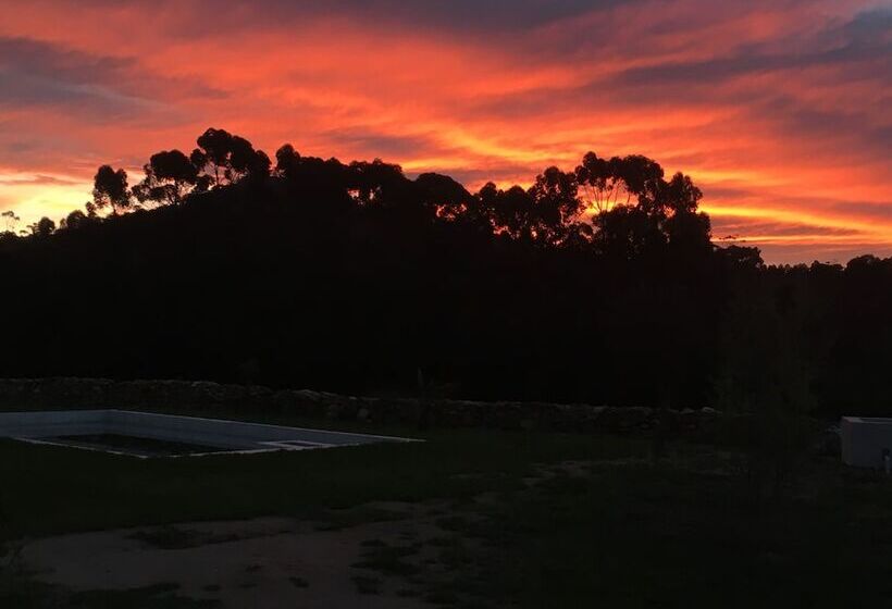 مبيت وإفطار Stellar Overberg Travellers Lodge