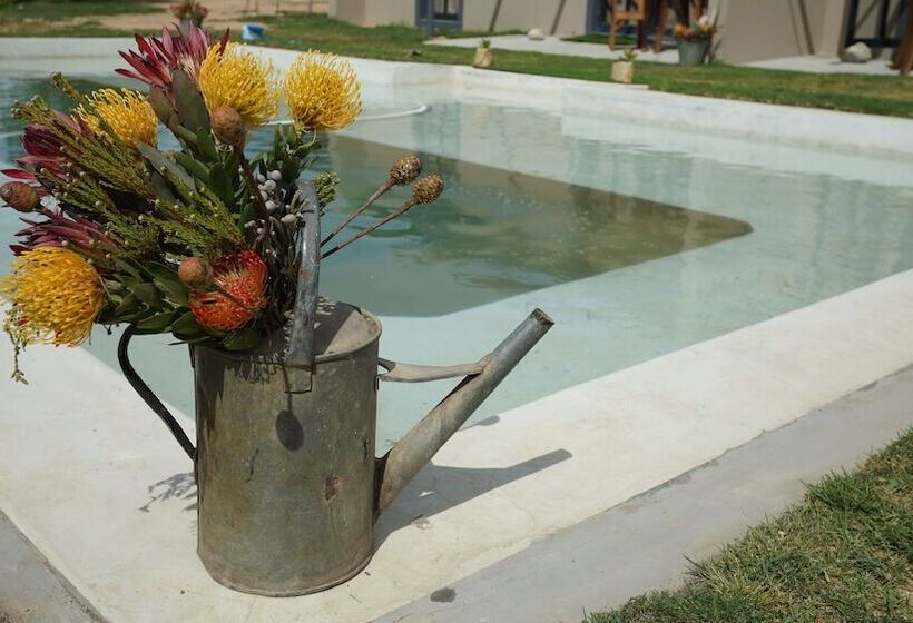 مبيت وإفطار Stellar Overberg Travellers Lodge