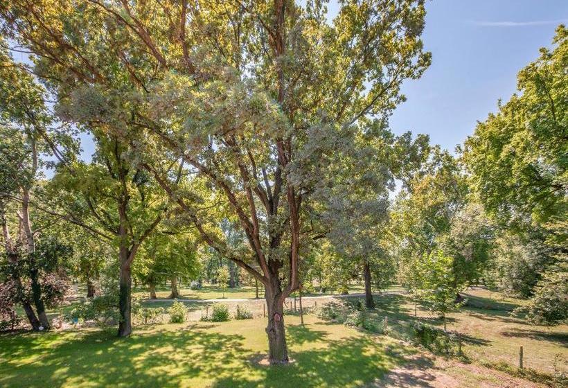 住宿加早餐 Tölgyfa Fogadó